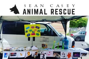 Sean Casey Animal Rescue