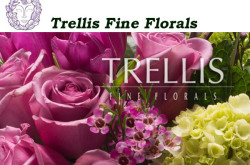 Trellis Fine Florals - Manhattan Florist - Fresh Flowers for NYC