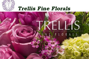 Trellis Fine Florals - Manhattan Florist - Fresh Flowers for NYC