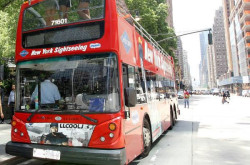 Gray Line New York - Sightseeing Tours, Cruises & Attractions
