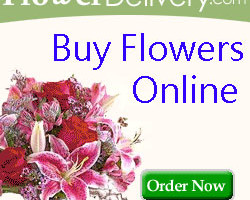 Buy Flowers Online