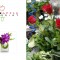 Big-Apple-Florist-2