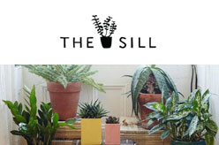 The Sill Shop NYC