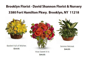 Brooklyn Florist David Shannon