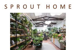 Sprout Home Brooklyn NY
