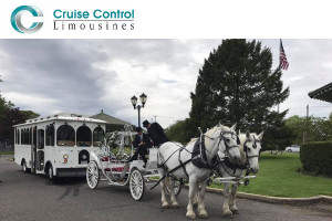 Cruise Control Limousines NY