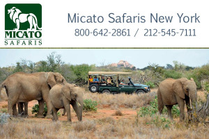 Micato Safaris New York