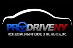 Professional Driving School of the Americas
