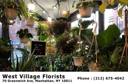 West Village Florist NYC