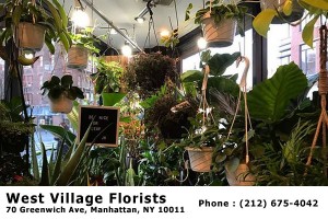 West Village Florist NYC