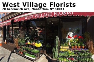 West Village Flower Manhattan NY