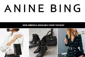 ANINE BING New York