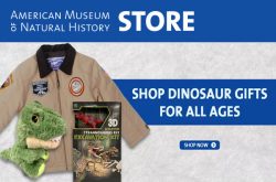 American Museum of Natural History Gift Shop