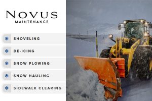 Novus Maintenance
