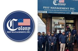 Colony Pest Management Brooklyn