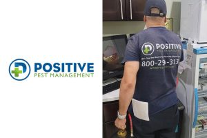 Positive Pest Management New York