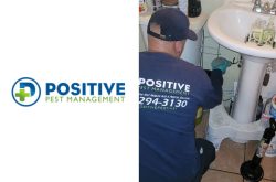 Positive Pest Management Exterminators New York