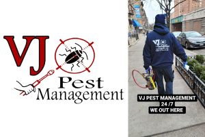VJ Pest Management New York