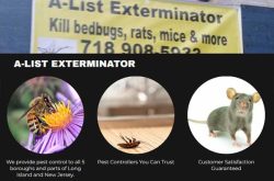 A-List Exterminator Brooklyn