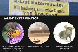 A-List Exterminator Brooklyn