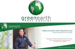 green earth pest control inc new york