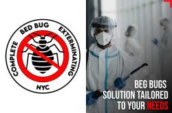 Complete Bed Bug Exterminating NYC