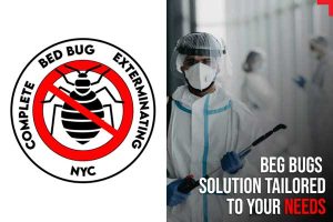 Complete Bed Bug Exterminating NYC