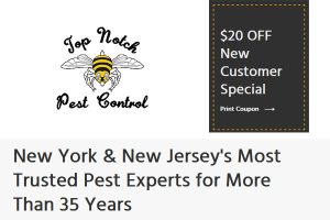 Top Notch Pest Control Brooklyn New York
