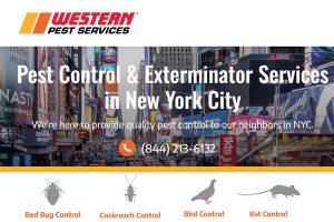 Western Pest Services New York